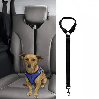 Car Backseat Pet Leash – Safety & Stability Harness for Travel