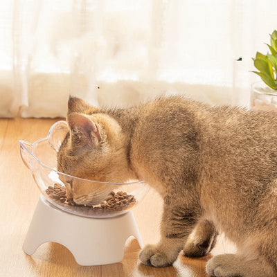 Non-Slip Elevated Pet Bowl – Oblique Mouth Design for Cats & Dogs