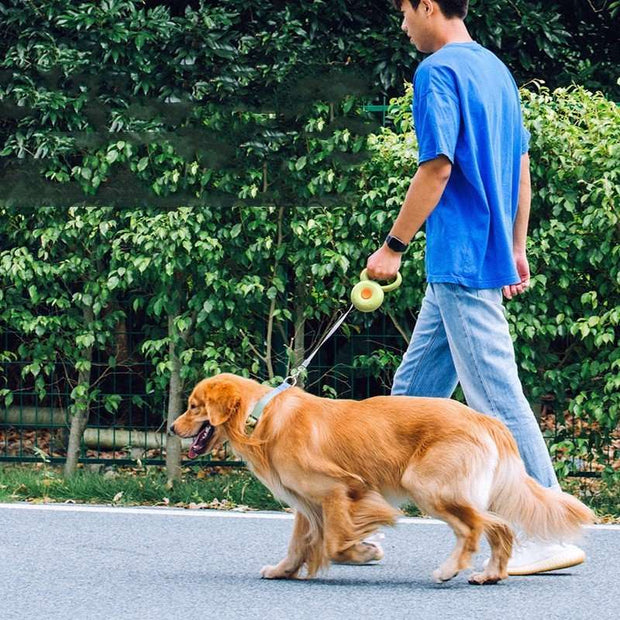 Dog Leash Retractable Pet Leash Reflective Rope - Pet Souq