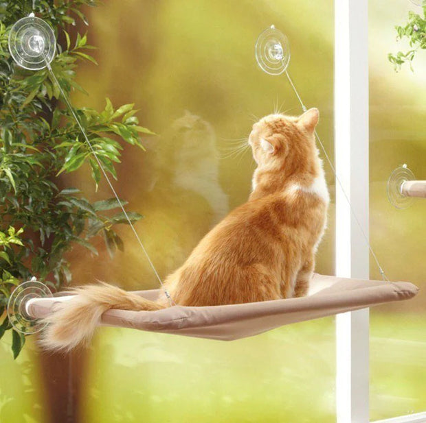 Pet Hanging Cat Bed – Sunny Window Seat Hammock for Comfortable Cats