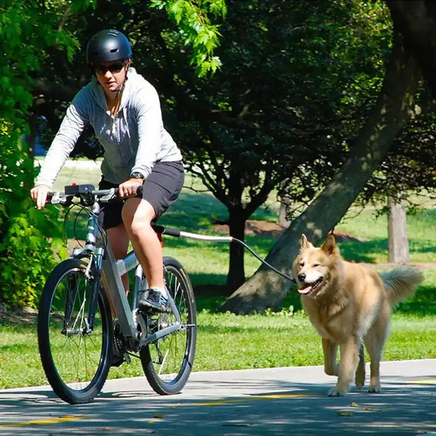 Woman biking with a golden retriever on a stainless steel bike leash for dogs in a park.