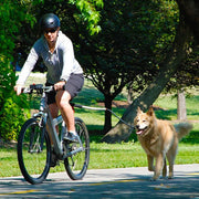 Premium Stainless Steel Hands-Free Bike Leash for Dogs